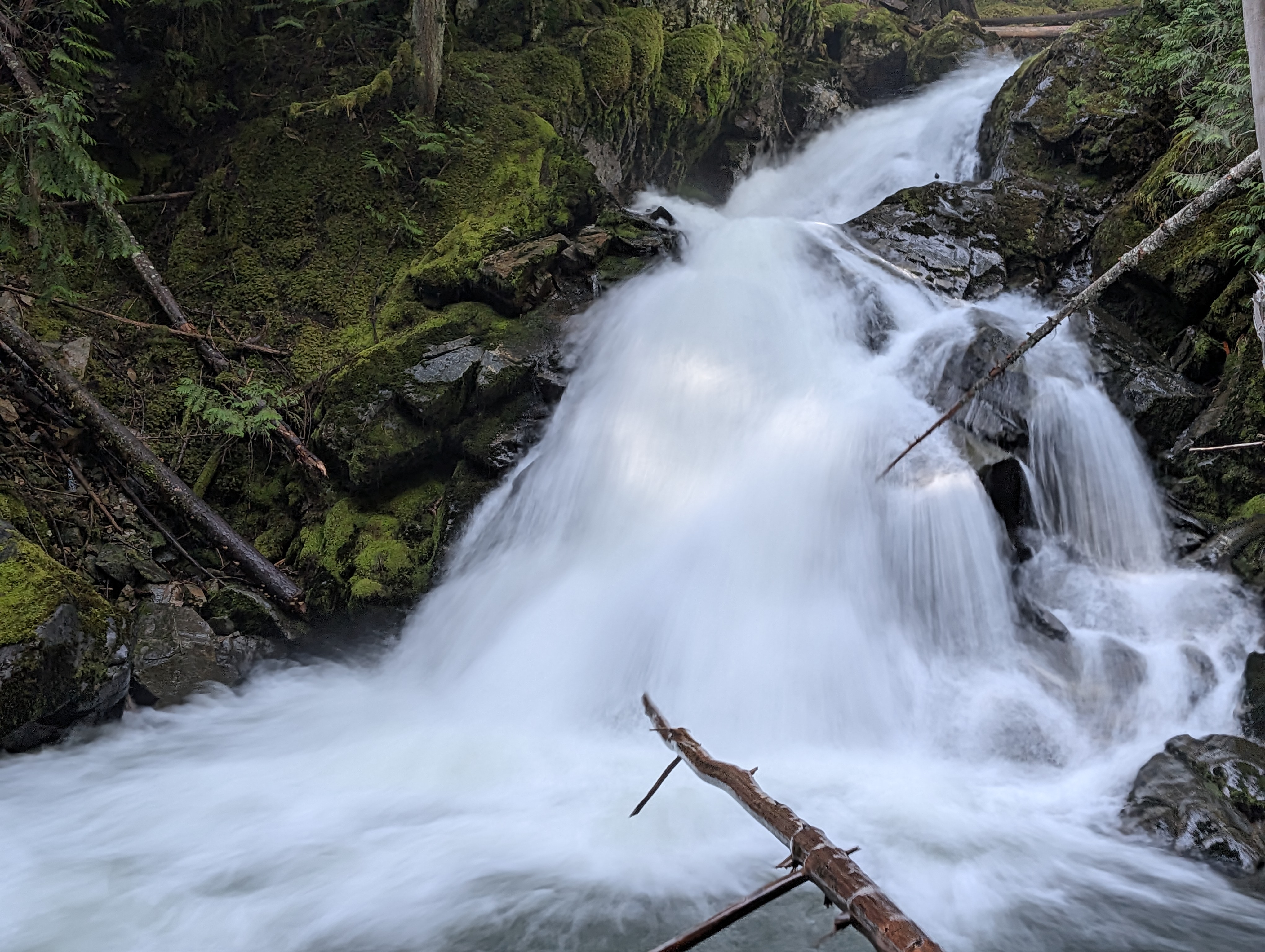 Waterfall in a Montana forest